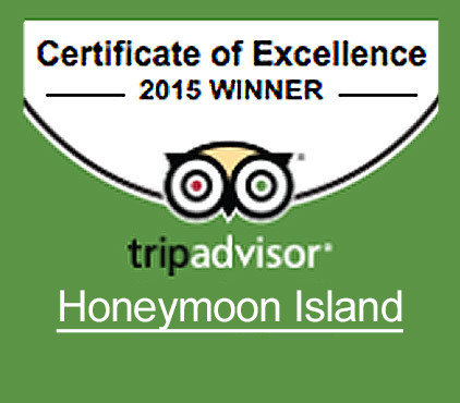 2015 Trip Advisor Badge of Excellence
