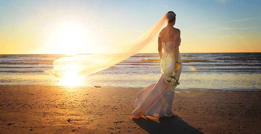 Honeymoon Island Bride on Beach by Livingston Galleries