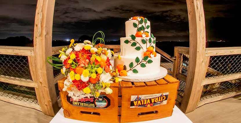 Honeymoon Island Wedding Cake by Carrier Photography