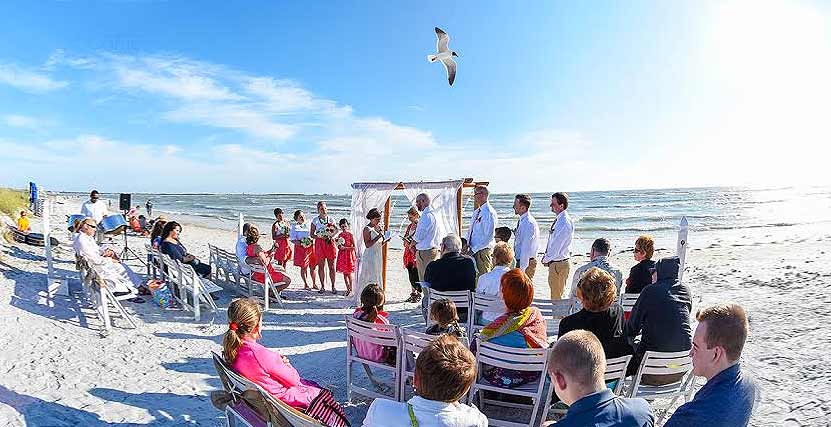 Honeymoon Island People attending Wedding by Carrier Photography