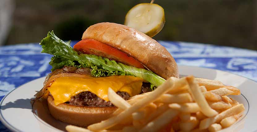 Honeymoon Island Burger and Fries