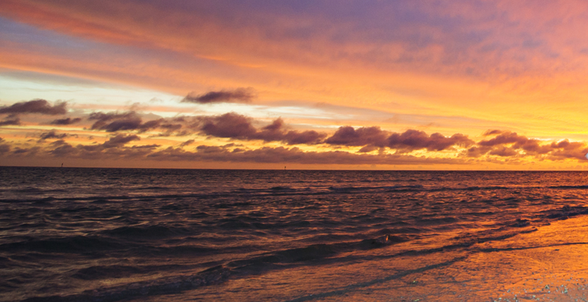 Honeymoon Island Sunset by Shannon Livingston Photography